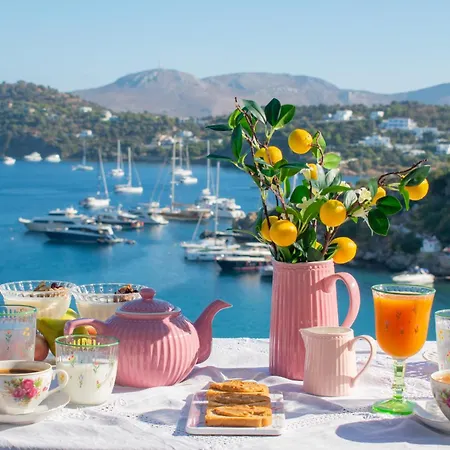 Leros Windmills Διαμέρισμα *